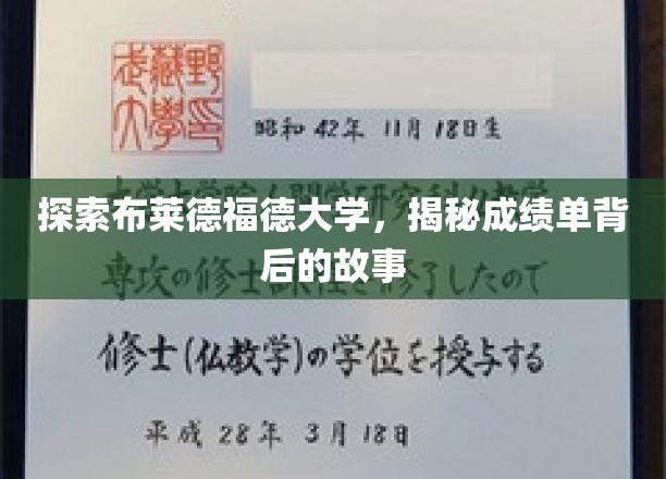 解码布莱德福德大学成绩单，背后的学术奥秘揭晓