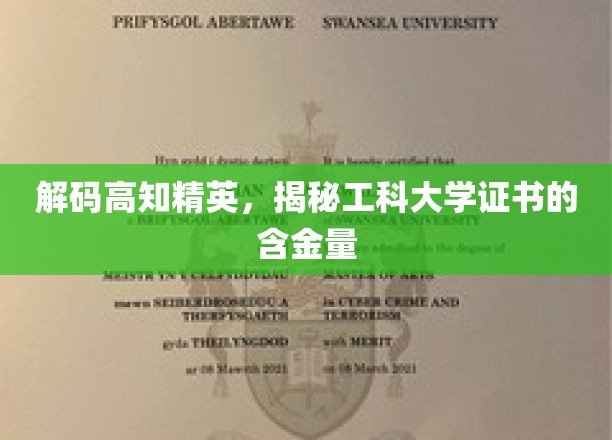 揭秘，工科大学证书背后的高知精英价值