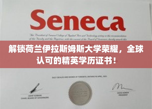 荷兰伊拉斯姆斯大学，成就非凡，国际认可的高端学历通行证！