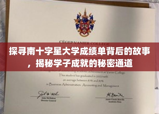 探寻南十字星大学成绩单背后的故事，揭秘学子成就的秘密通道