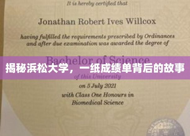 成绩单背后的传奇，浜松大学揭秘