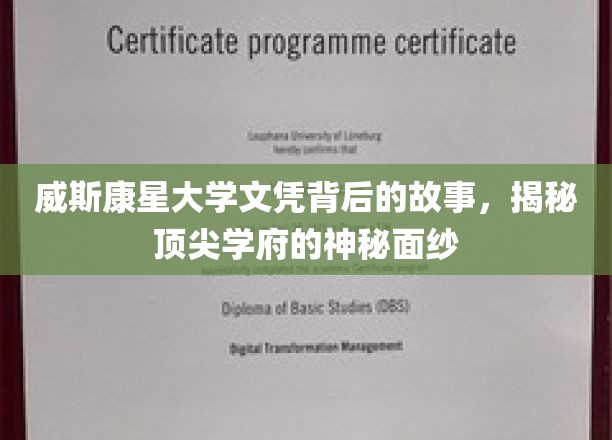 威斯康星大学文凭背后的传奇，一探顶尖学府的奥秘世界