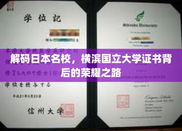 探寻横滨国立大学证书的辉煌印记，名校背后的成长轨迹