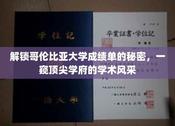 解锁哥伦比亚大学成绩单的秘密，一窥顶尖学府的学术风采