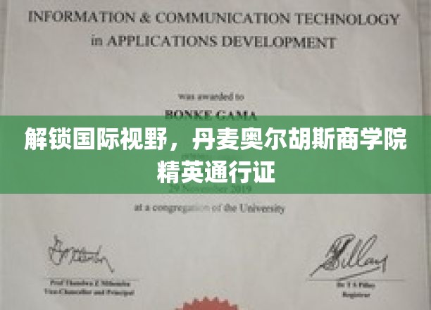 跨国精英启航点，丹麦奥尔胡斯商学院通行证解锁全球机遇