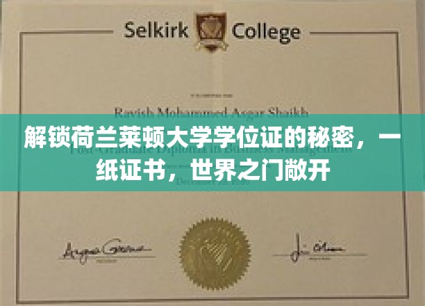 荷兰莱顿大学学位证背后的全球通行证，开启无限可能的大门