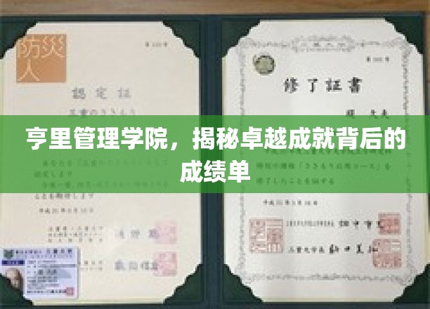 亨里管理学院，揭秘非凡成就的幕后实力派