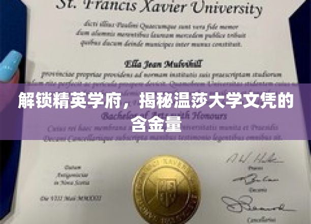 探寻温莎大学，精英教育背后的高含金量文凭奥秘