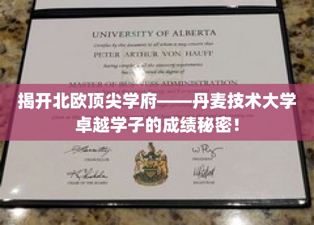 解码丹技精英，揭秘丹麦技术大学顶尖学子非凡成就之路
