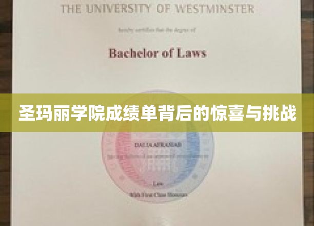 揭开圣玛丽学院成绩单，惊喜发现与成长考验并存