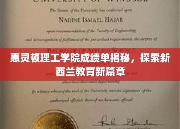 新西兰教育新亮点，惠灵顿理工学院成绩单背后的故事