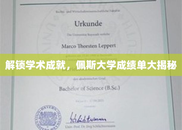 揭秘佩斯大学卓越学术背后的成绩单秘密