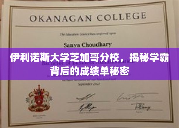 揭秘伊利诺斯大学芝加哥分校学霸的惊人成绩单！