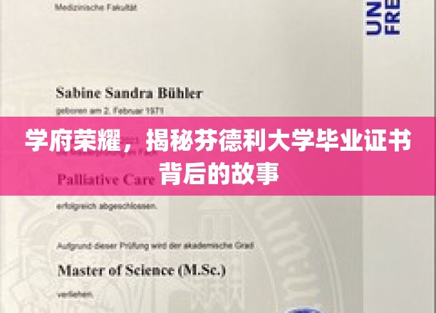 芬德利荣耀揭秘，探寻毕业证书背后的传奇印记