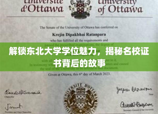 东北名校魅力揭秘，学位证书背后的不凡历程