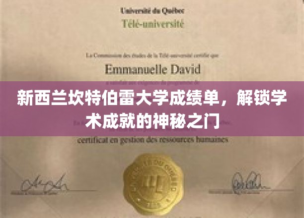 解锁坎特伯雷大学成就密码，成绩单里的学术之旅
