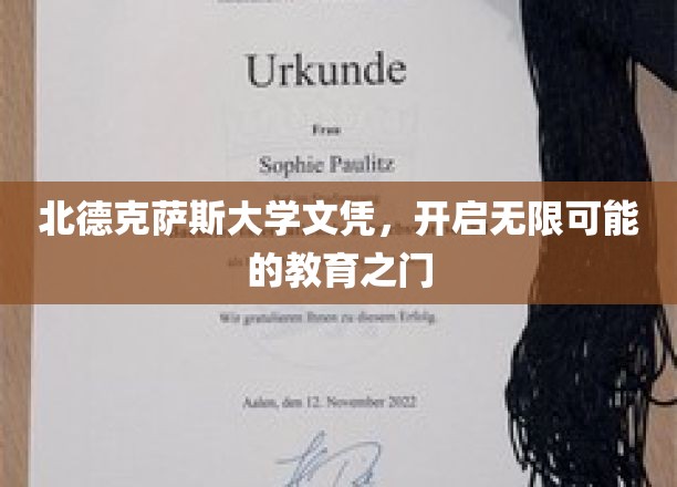 解锁北德克萨斯大学学位，迈向无限未来的教育新篇章