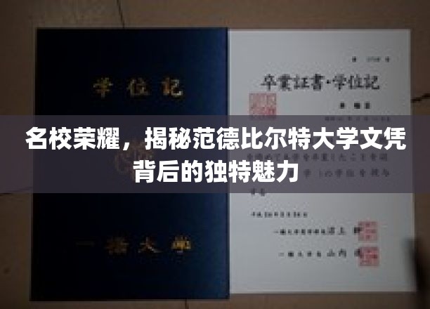 名校荣耀，揭秘范德比尔特大学文凭背后的独特魅力