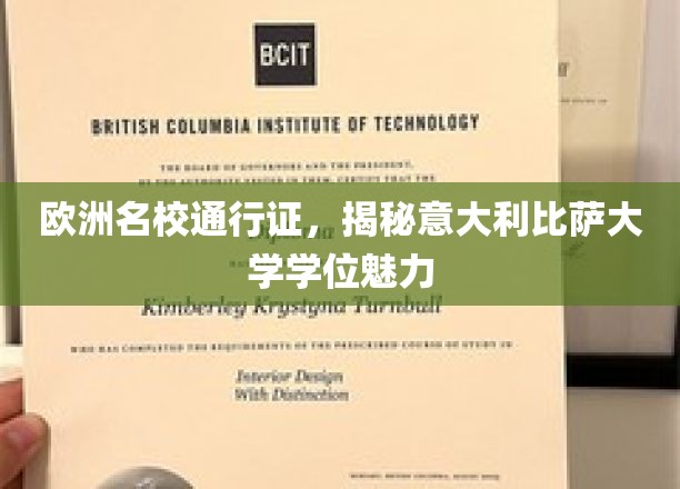 解锁意大利比萨大学，欧洲教育殿堂的璀璨学位之光
