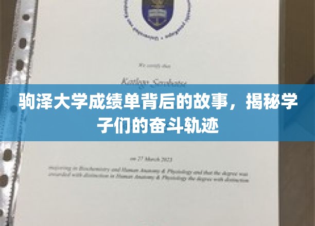 驹泽大学成绩单背后的青春足迹，学子奋斗之路大揭秘