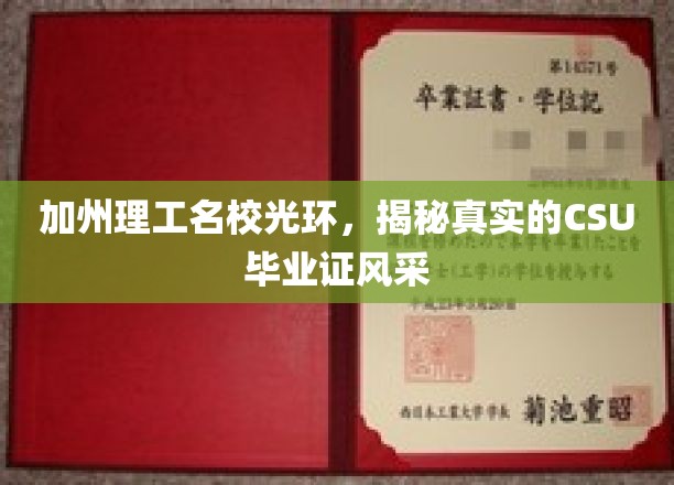 加州理工闪耀光环下，CSU毕业证背后的真实魅力大揭秘