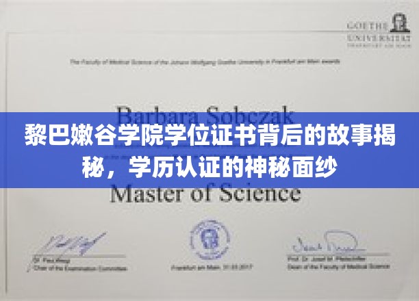 黎巴嫩谷学院学位证书背后的故事揭秘，学历认证的神秘面纱