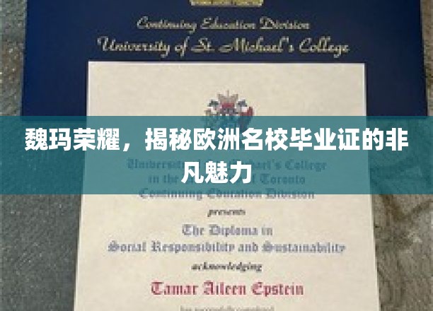 探寻欧洲名校魏玛荣耀，毕业证背后的非凡传奇魅力