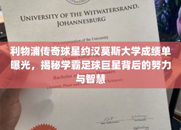 约汉莫斯，足球场上的璀璨明星，学霸身份背后的不懈追求