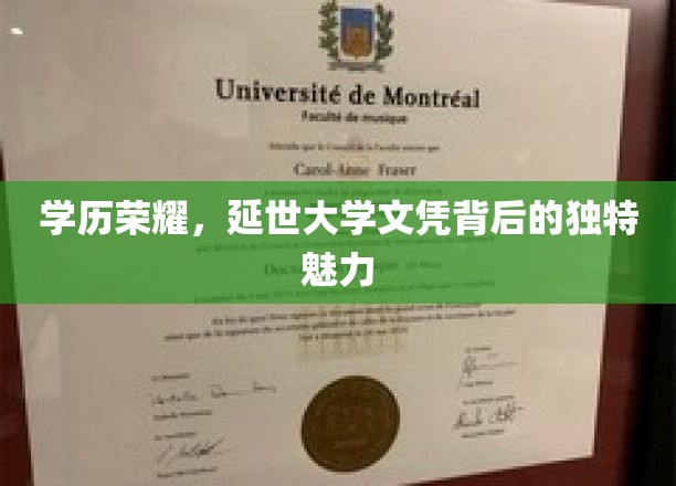 延世大学荣耀解码，探寻学历背后的非凡魅力