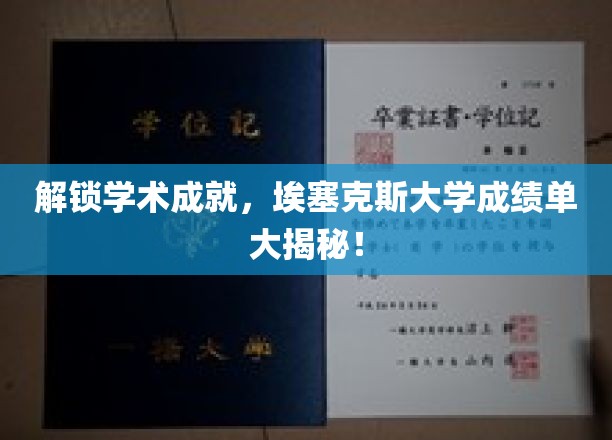 解锁学术成就，埃塞克斯大学成绩单大揭秘！