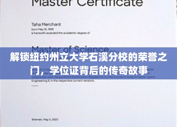 石溪分校荣耀揭秘，学位证背后的传奇历程