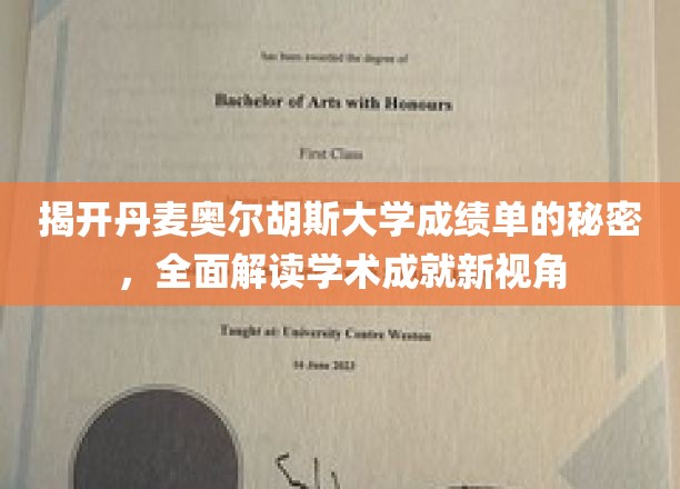 揭开丹麦奥尔胡斯大学成绩单的秘密，全面解读学术成就新视角