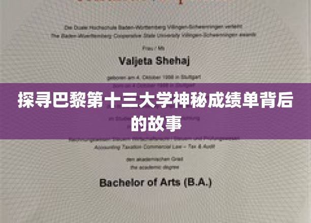 揭开巴黎第十三大学不为人知成绩单的秘密面纱