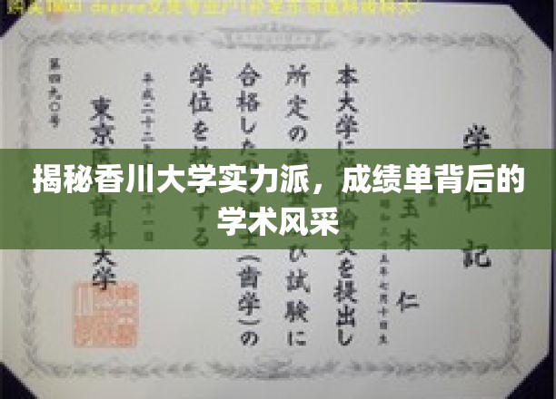 香川大学精英荟萃，揭秘学霸背后的学术魅力