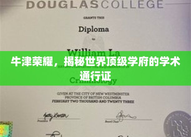 解码牛津传奇，揭秘顶尖学府的学术精英之路