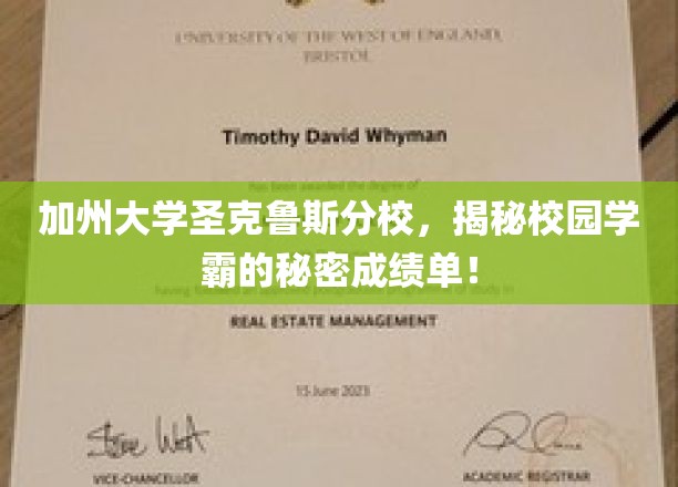 加州圣克鲁斯分校学霸养成记，揭秘成绩单背后的秘密武器