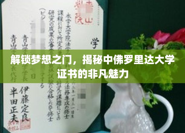 开启梦想之门，探寻中佛罗里达大学证书的独特魅力