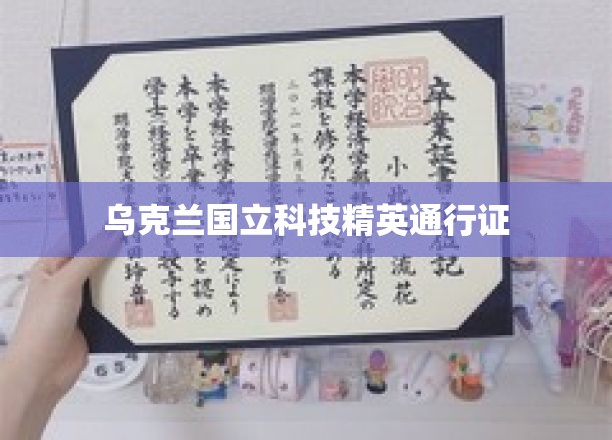 乌克兰精英通行证，解锁科技人才全球通行密码
