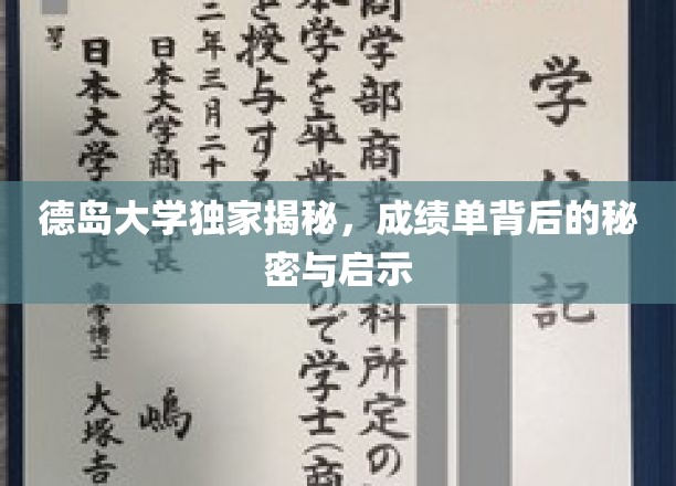 解码德岛大学成绩单，揭秘学术成就背后的智慧钥匙