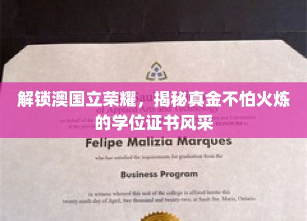 澳国立荣耀见证，探索璀璨如金的学位证书魅力