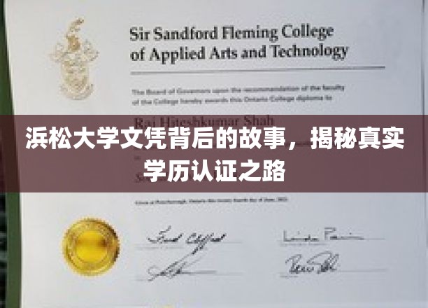 浜松大学文凭背后的故事，揭秘真实学历认证之路