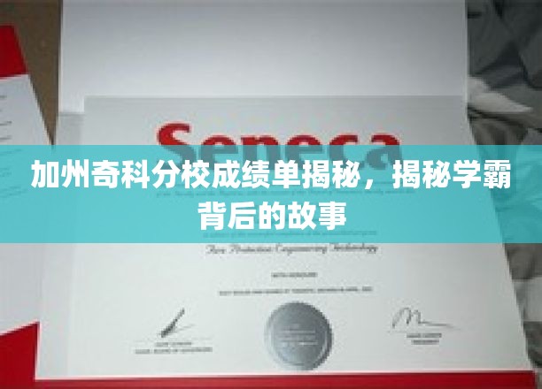 加州奇科分校学霸档案，揭秘成绩单背后的传奇人生