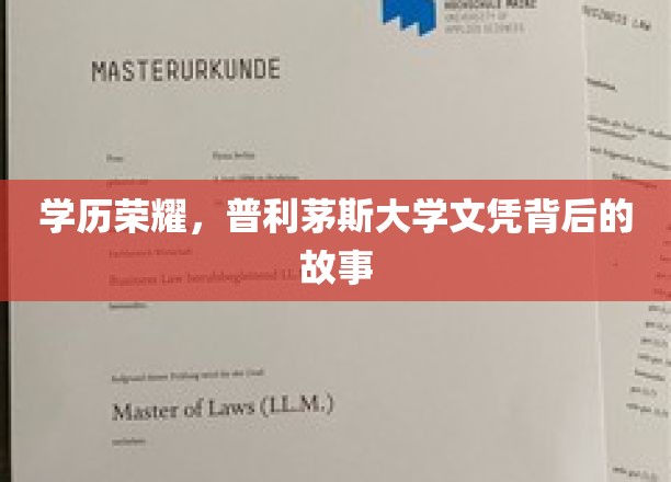 学历荣耀，普利茅斯大学文凭背后的故事