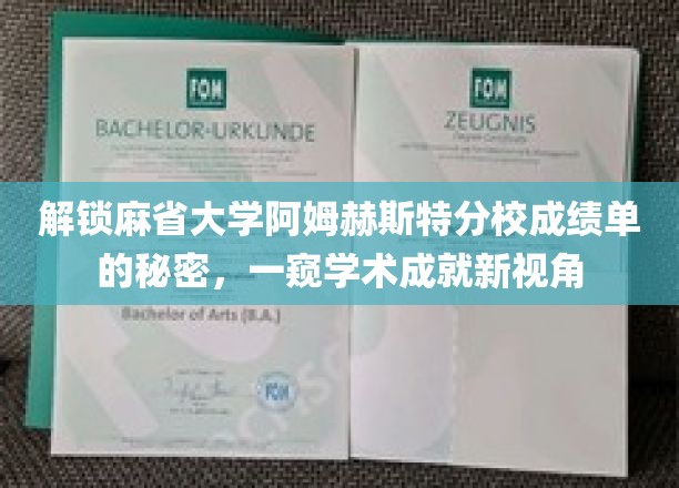 揭开麻省大学阿姆赫斯特分校成绩单背后的学术奥秘