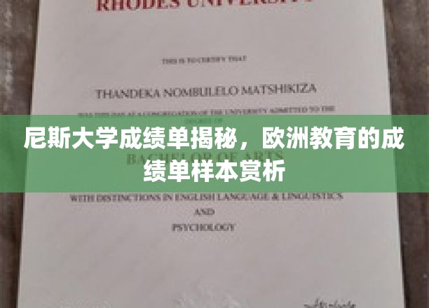 欧洲学府典范，尼斯大学成绩单深度解析与样本鉴赏