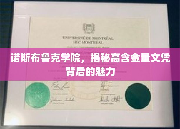 诺斯布鲁克学院，探寻高含金量文凭背后的独特魅力