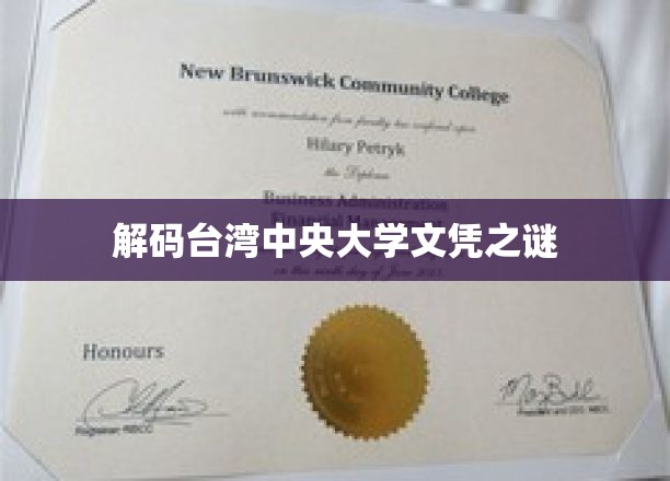 解码台湾中央大学文凭之谜