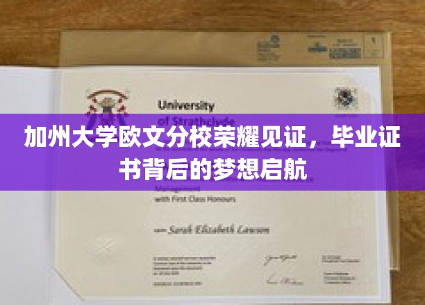 加州大学欧文分校荣耀见证，毕业证书背后的梦想启航