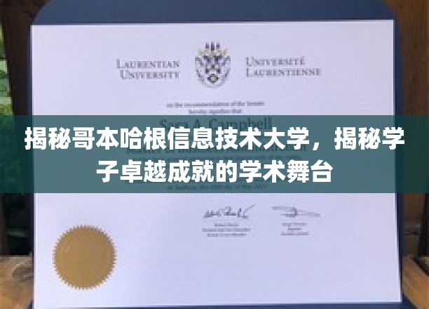 探索哥本哈根信息技术大学，学子卓越成就背后的学术殿堂