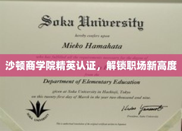 沙顿商学院精英赋能，职场巅峰再出发